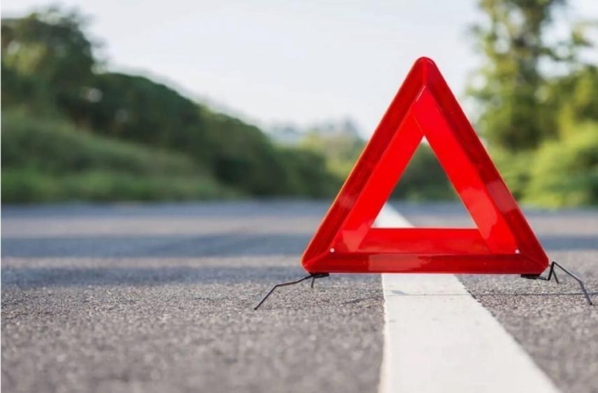 В Ярославской области лось оказался почти в салоне автомобиля