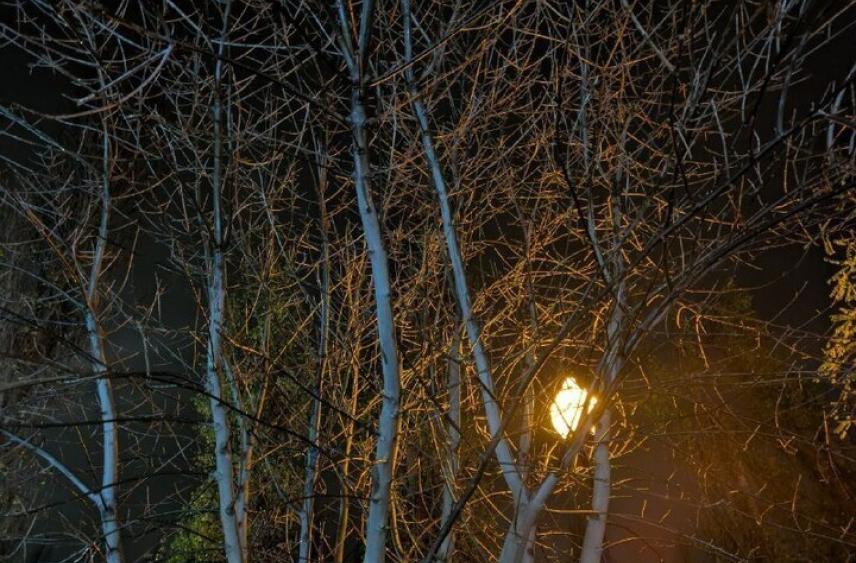 Без снега воронежцы встретят первый день зимы