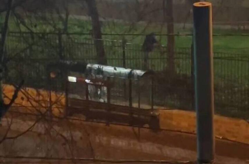 В Ставрополе неизвестный разбил остановку и проник на территорию школы