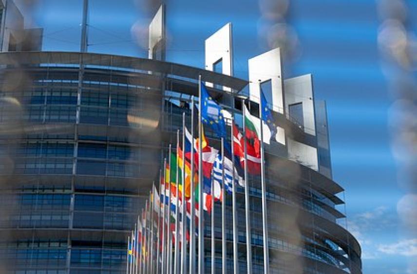Европарламент принял резолюцию о новых регионах России. Она расходится с требованиями Москвы и Вашингтона