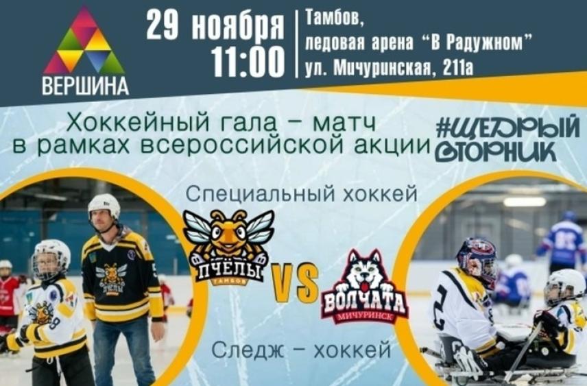 Сила на льду: в Тамбове пройдет благотворительный праздник адаптивного хоккея