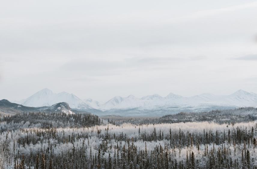 Более сорока спусков и подъёмов совершили спасатели НАО