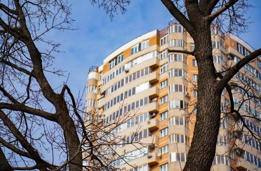 Тульский Росреестр назвал частые причины приостановки регистрации недвижимости