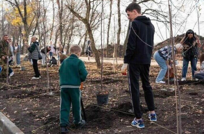 В Краснодаре на Западном обходе высадили 141 плодовое дерево и 6 ликвидамбаров