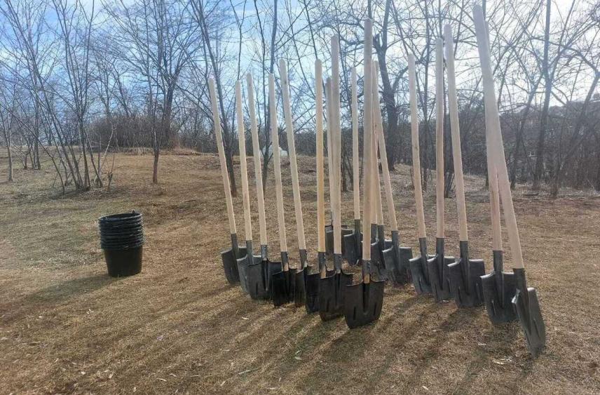 На Ставрополье заложили еще одну школьную фруктовую плантацию