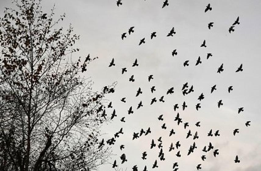 В Британии испугались «нового оружия Путина»