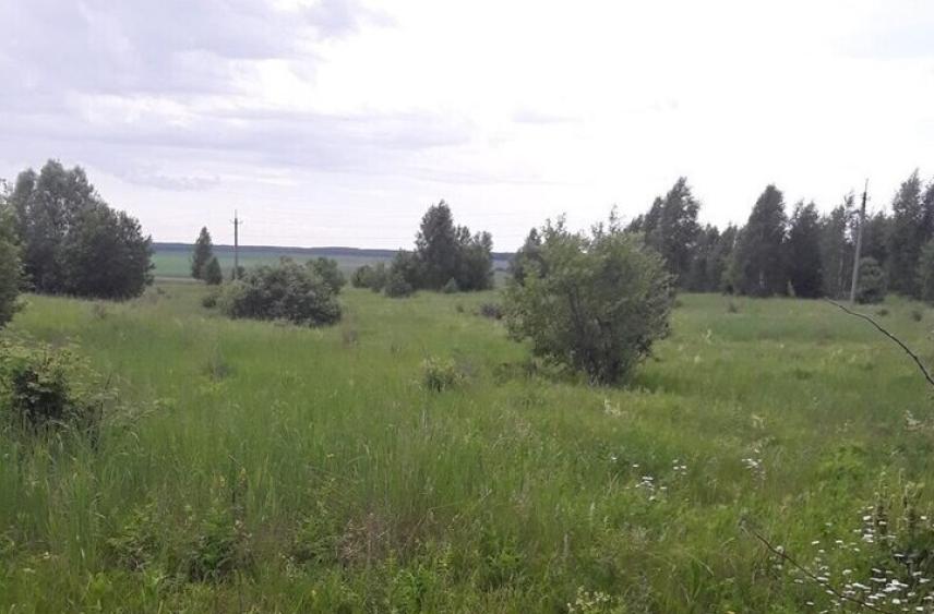 В Чувашии привлекли к ответственности предприятие за снятие плодородного слоя