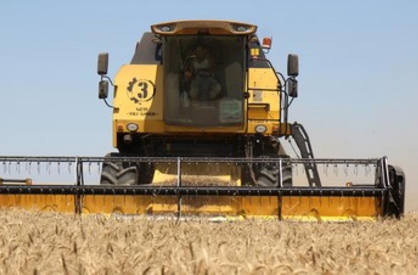 В Тюменской области выросло число вакансий в аграрной отрасли