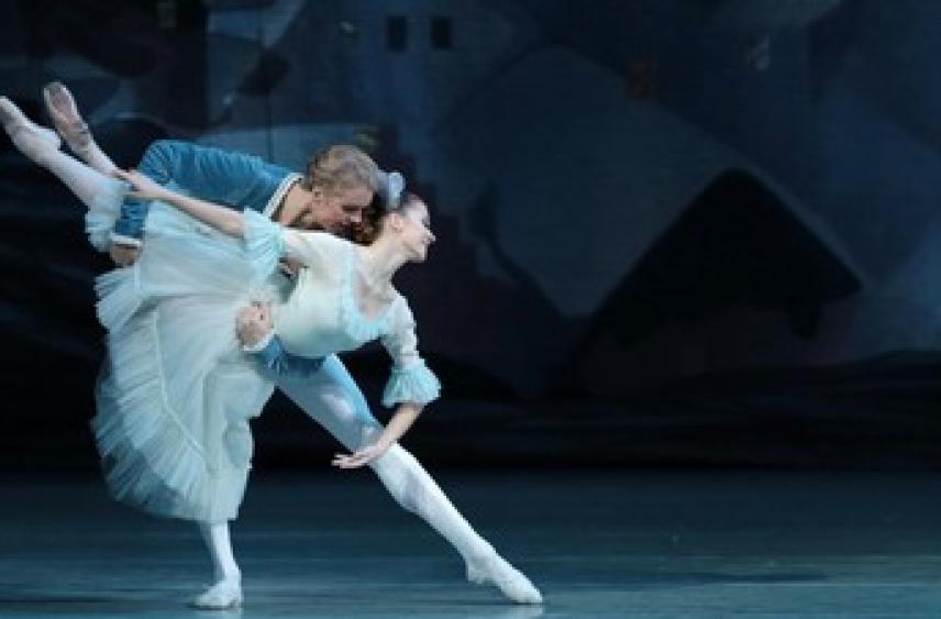 Сенатор Шейкин: злоумышленники создают сайты-клоны театров