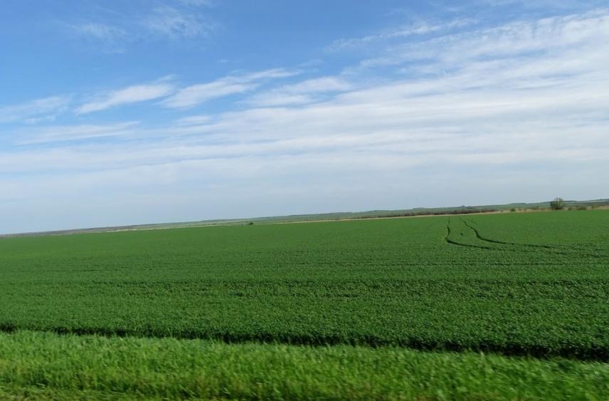 На Ставрополье обследовали  1,5 млн гектаров полей в рамках борьбы с мышевидными грызунами