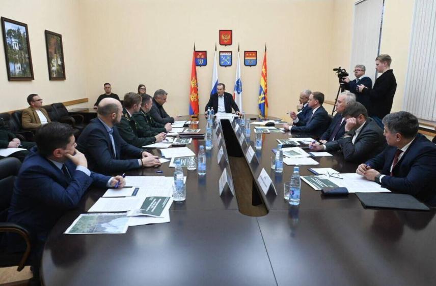 В Ленобласти запустят программу «Чистые леса», начиная с Карельского перешейка