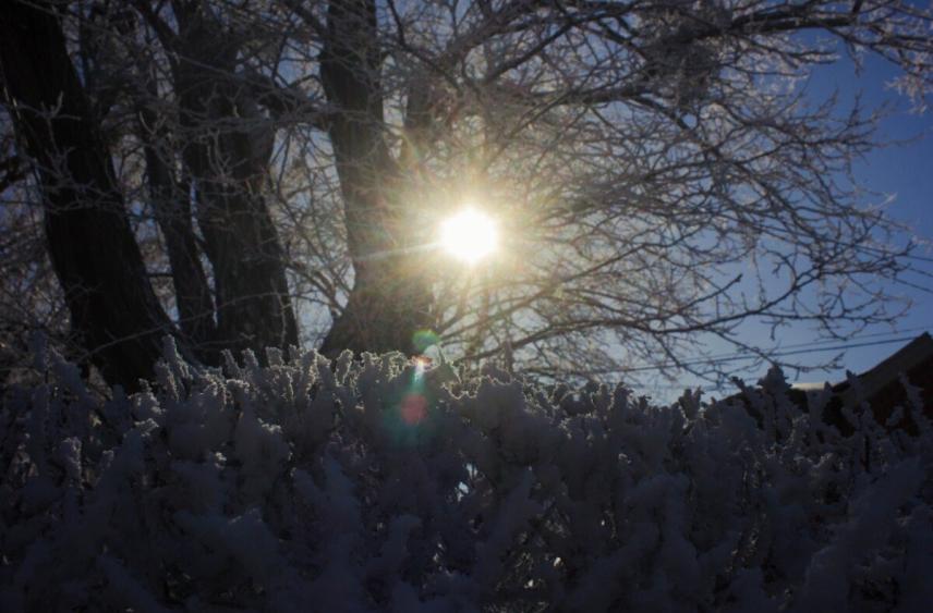 Снег, гололедица и порывистый ветер будут ждать северян 29 ноября