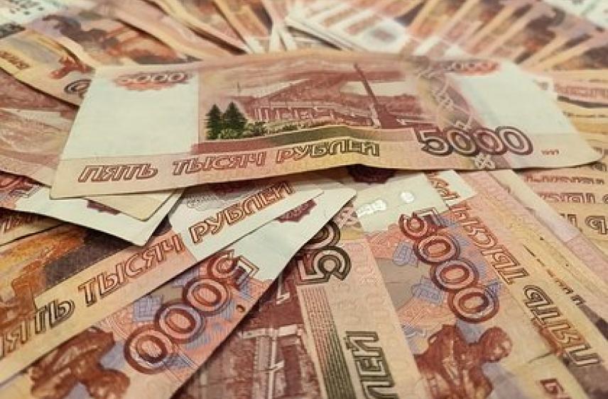 В Госдуме рассказали о досрочной выплате зарплаты за декабрь