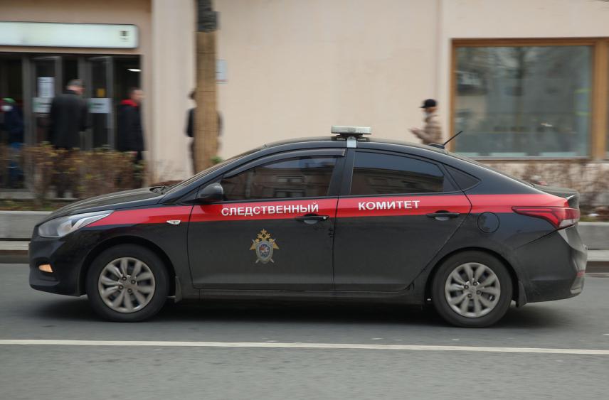 Молодая украинка подожгла машину Следственного комитета в Москве