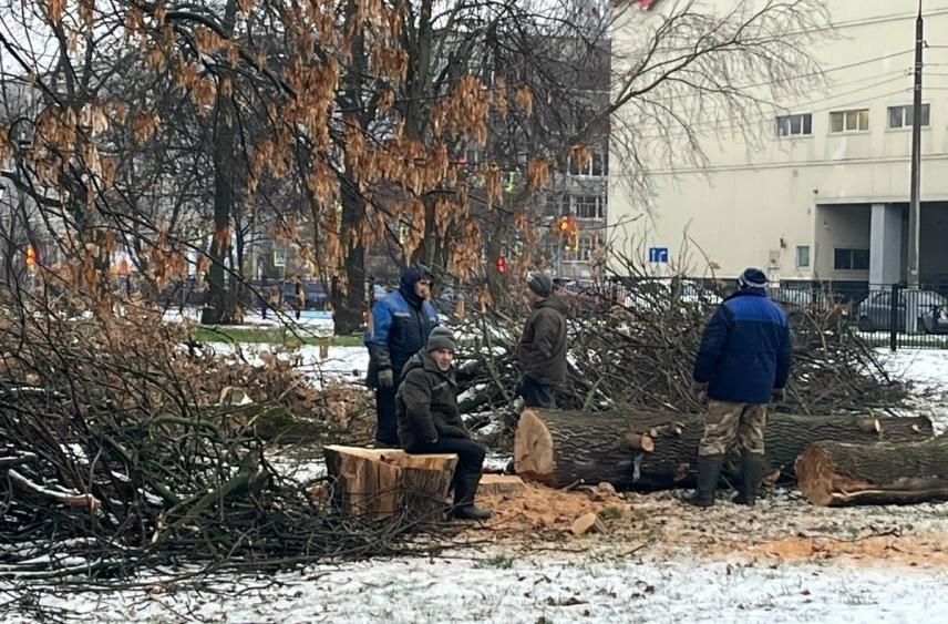 В Бутусовском парке второй день пилят деревья