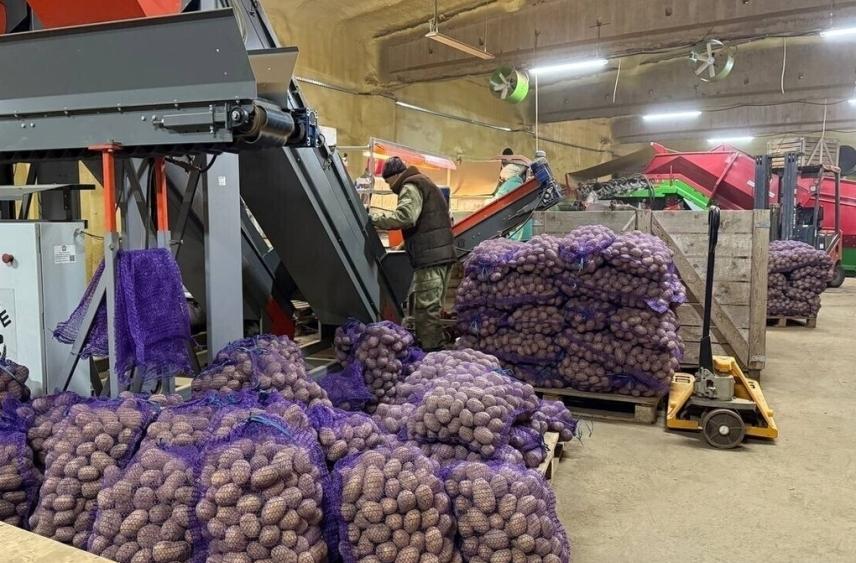 Заброшенные земли Ивановской области дают первый урожай