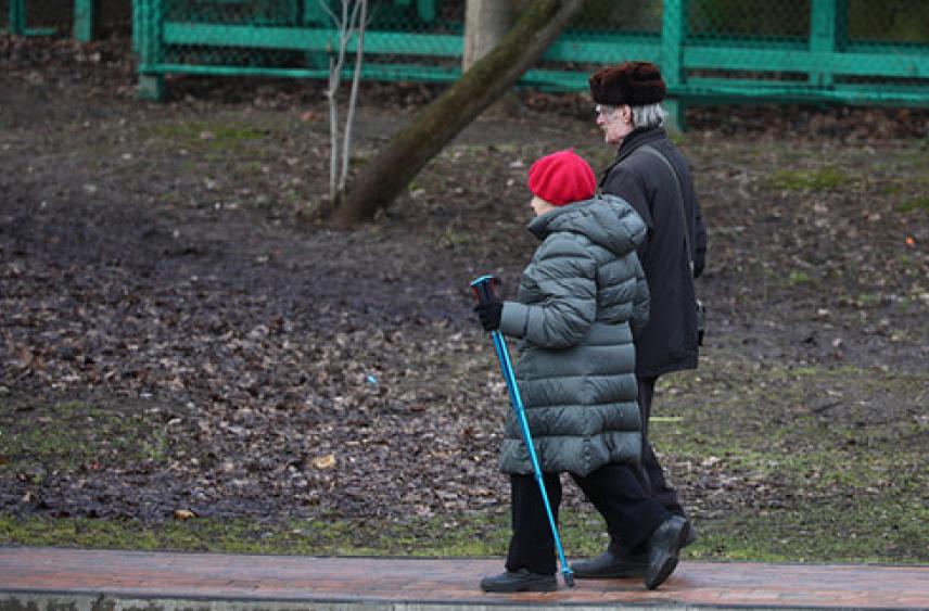 В ГД опровергли обсуждение повышения пенсионного возраста