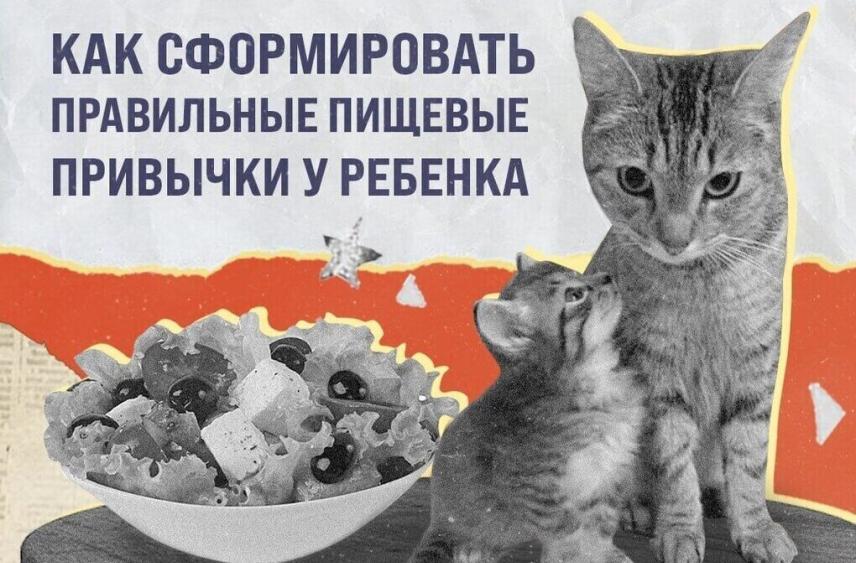 Псковичам рассказали, как заложить фундамент здорового питания у детей с раннего возраста