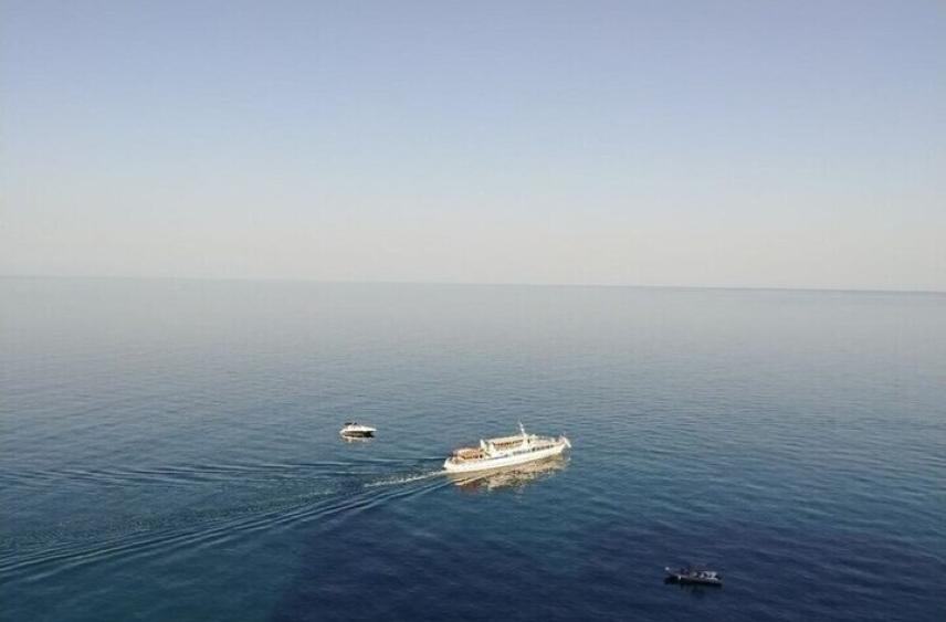 Белгородская студентка победила во всероссийском конкурсе среди вожатых