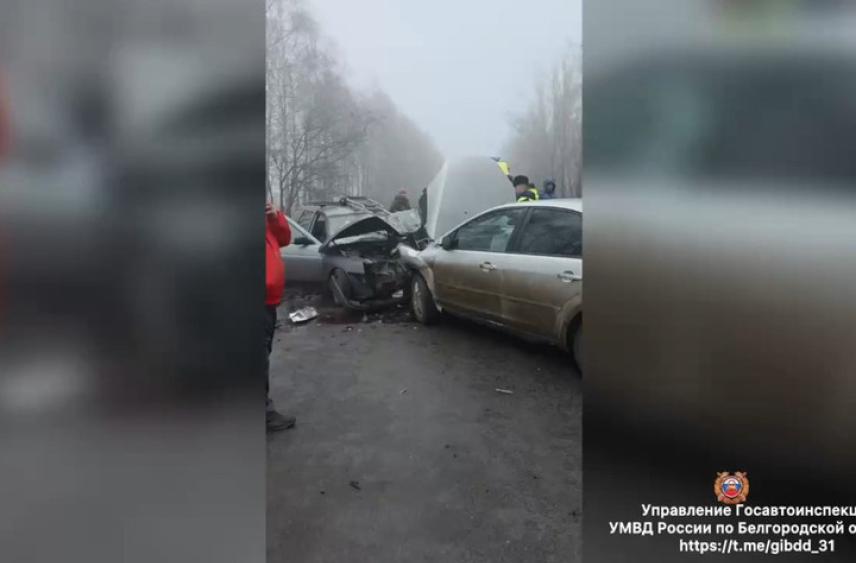 В Белгородской области при лобовом столкновении машин пострадали два человека