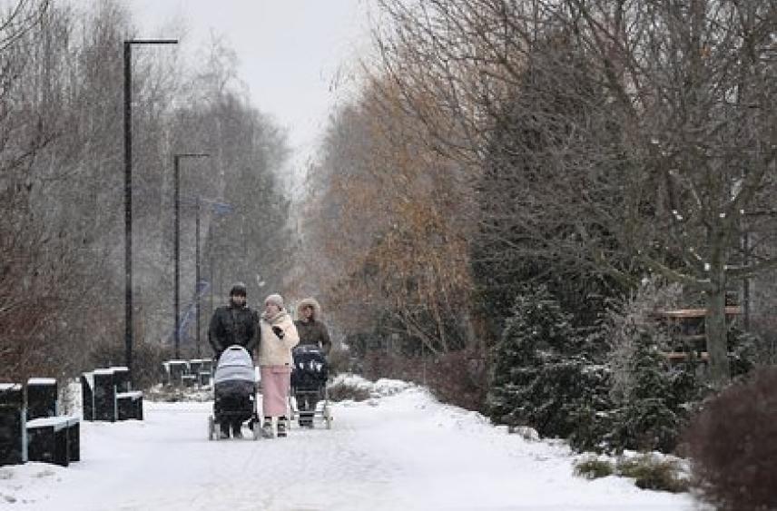 Россиянам рассказали о погоде в декабре