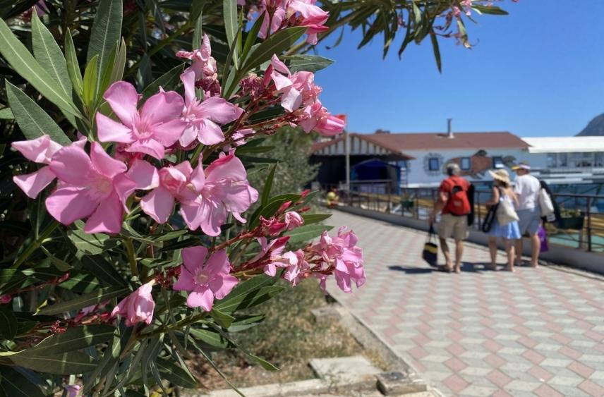 Поток отдыхающих в сакских санаториях вырос на 30%