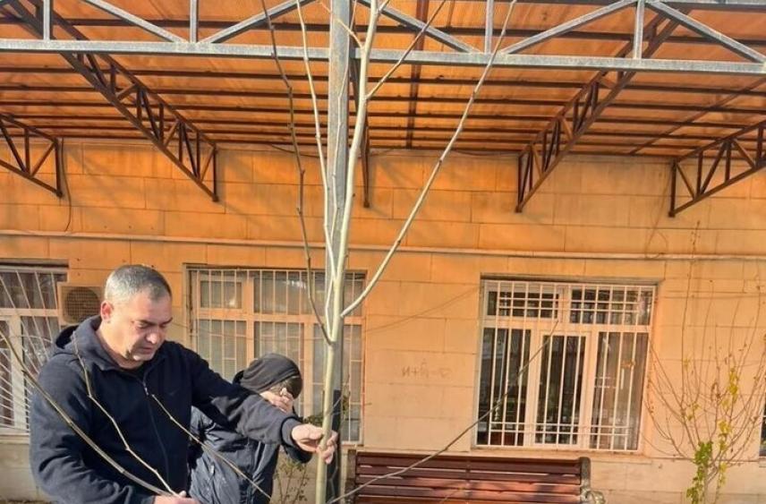 В Дагестанском селе высадили более 300 деревьев в рамках экологической акции