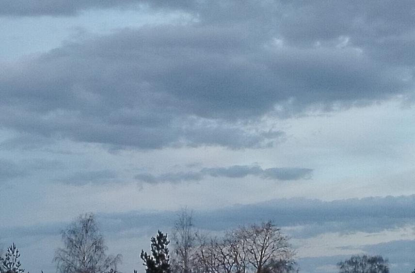 Ноябрь в Ленобласти закончится осенним дождем и шквалистым ветром