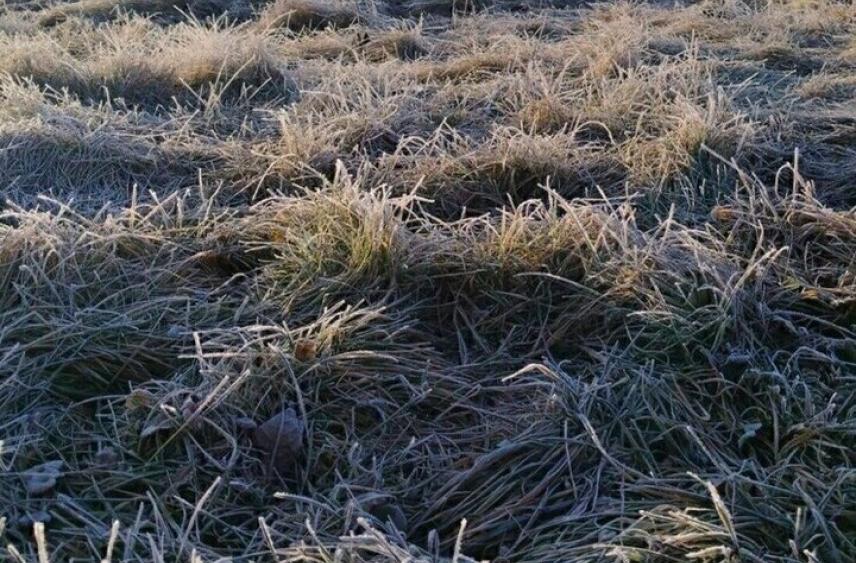 Белгородцев предупредили о двух градусах мороза в воскресенье