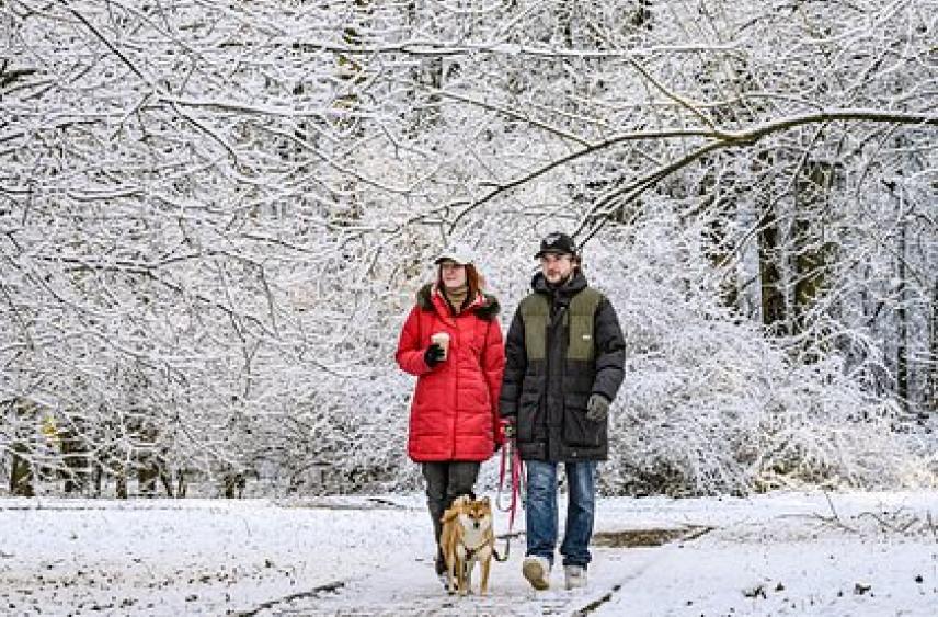 Москвичам рассказали о снеге в декабре