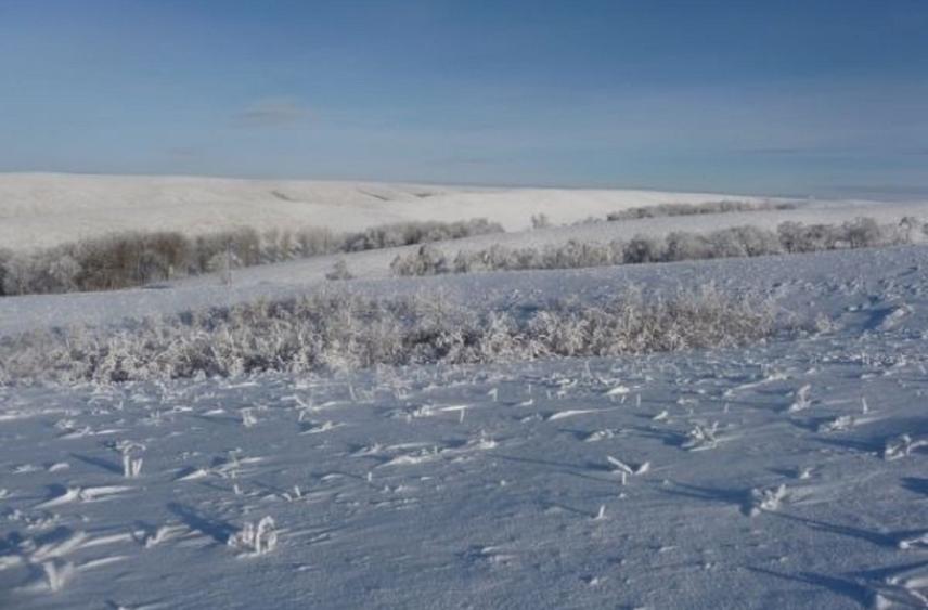 Завтра день расскажет о погоде зимой в Калмыкии