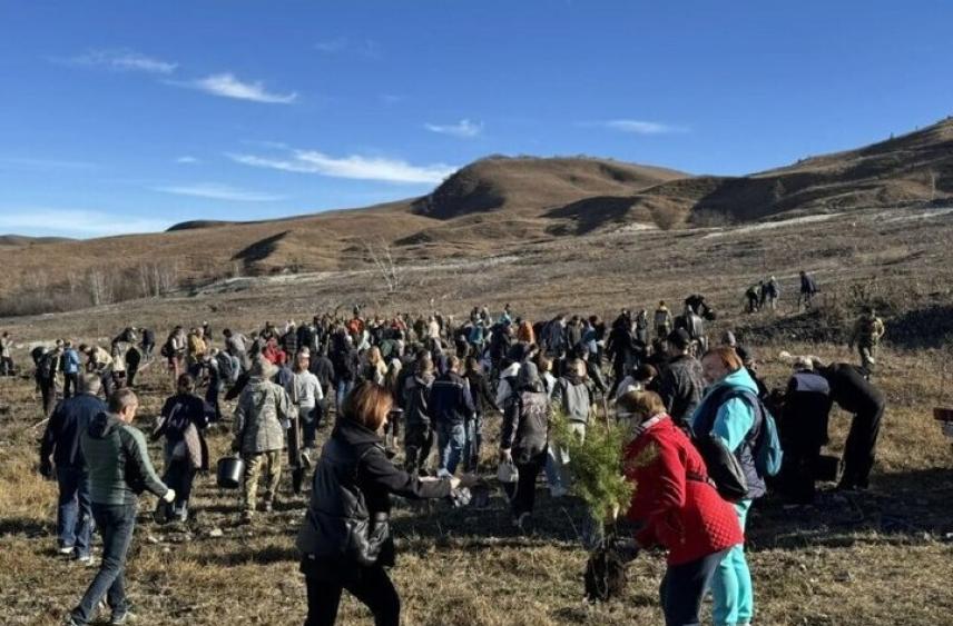 На масштабной экологической акции в Кисловодске высадили более 4 тысяч саженцев