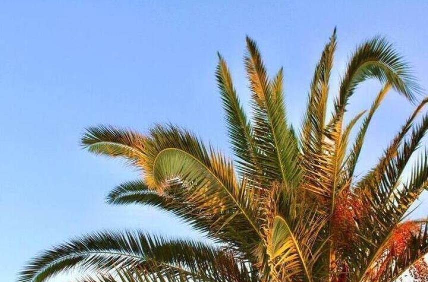 Россиянка рассказала о встрече с поляками в отеле Туниса