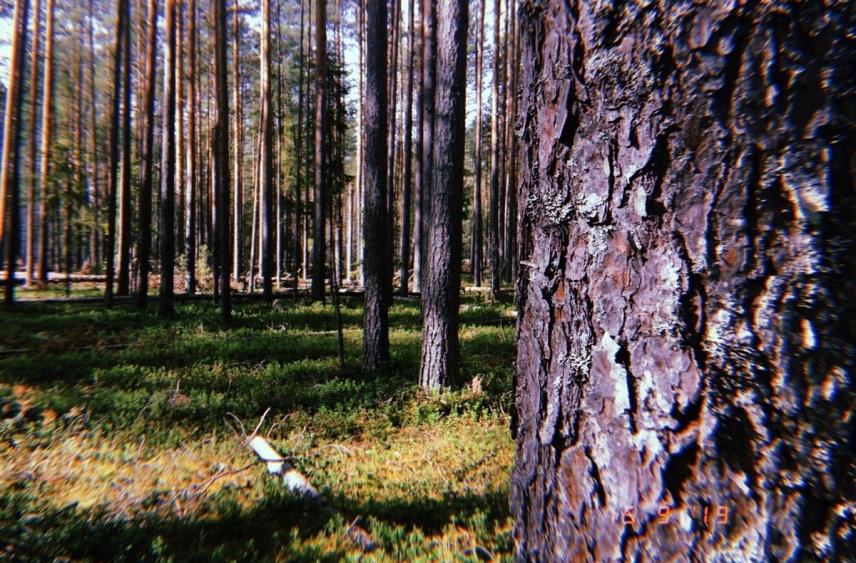 Сотрудники Главохоты проводят рейды по охотничьим угодьям Вологодской области