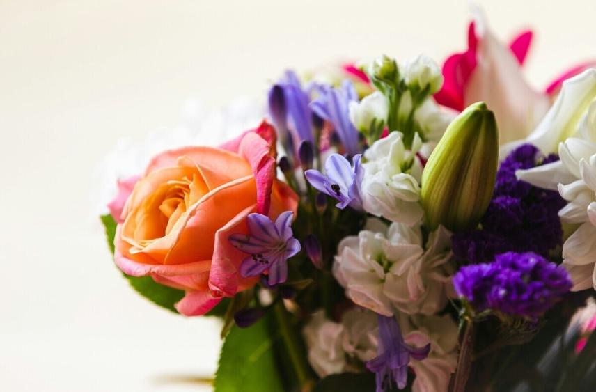 Фонд «Защитники Отечества» выразил благодарность матерям ветеранов СВО