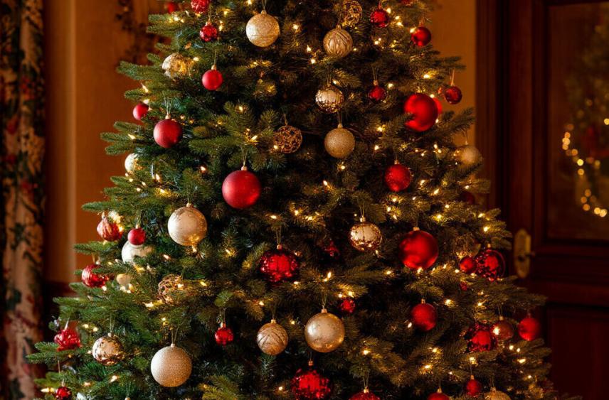 Костромичи в этом году могут получить открытку от Снегурочки