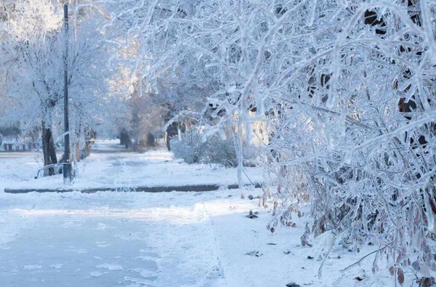 Скользский день ждет псковичей