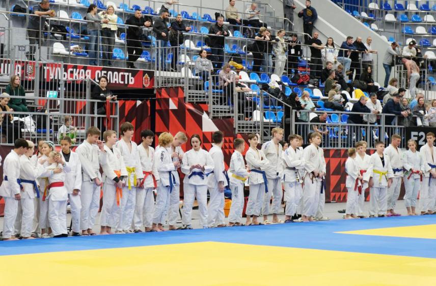В Туле проходят областные чемпионат и первенство по джиу-джитсу