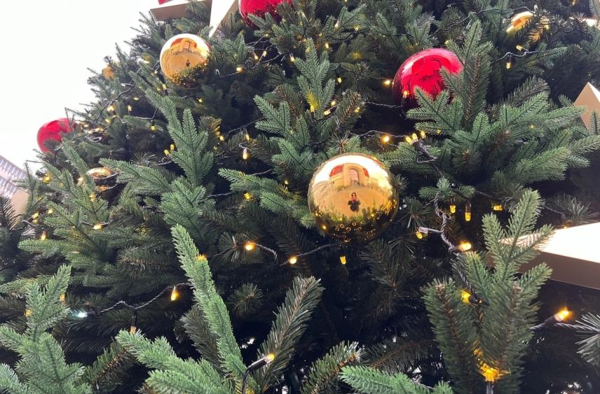 Зимний сезон в Серпухове откроется зажжением огней на елке и фаер-шоу