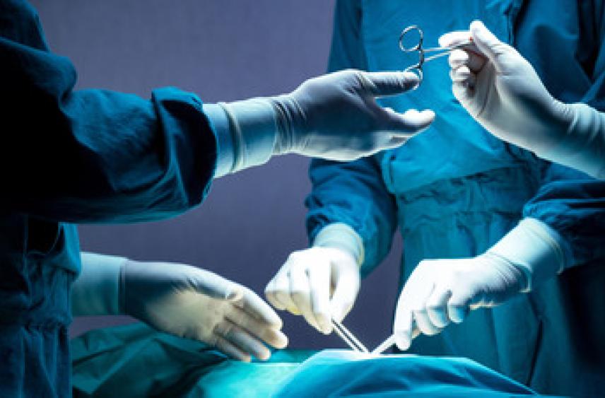 Сотрудник РАНХиГС Подольская: учёба на хирурга может длиться до 12 лет