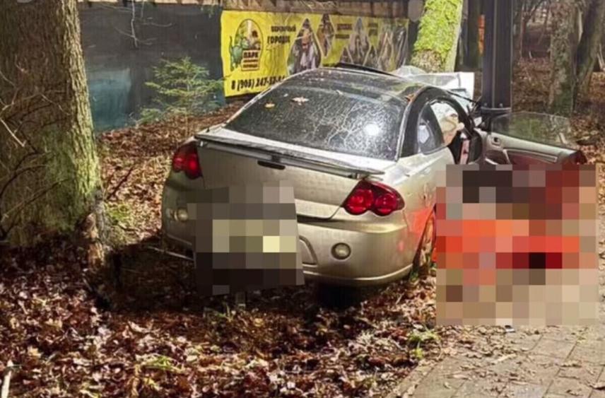 За смертельное ДТП в Светлогорске водителю могут дать 5 лет тюрьмы