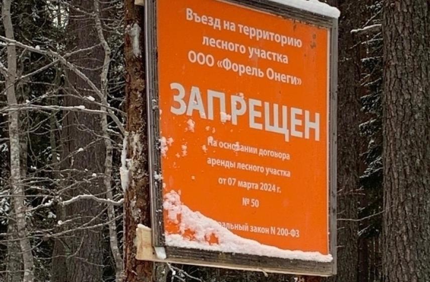 Жители Кондопожского района рассказали об ограничениях выхода в лес