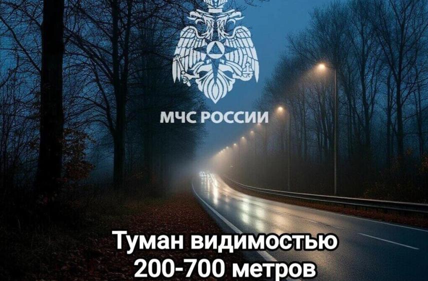 Спасатели предупредили туляков о сгущении тумана в регионе 1 декабря
