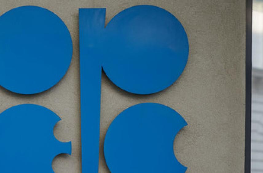 Следующую встречу глав делегаций ОПЕК+ назначили на 7 июня