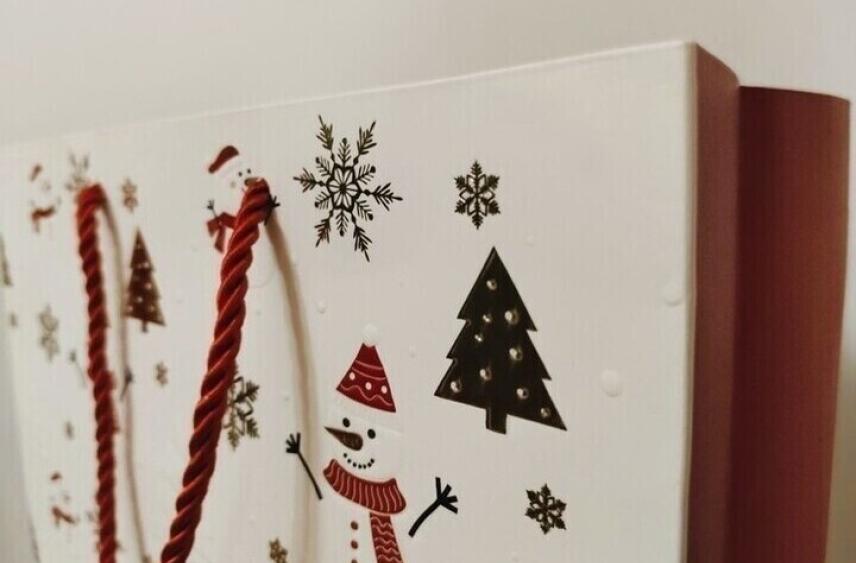 Вячеслав Гладков показал новогодние подарки для белгородцев