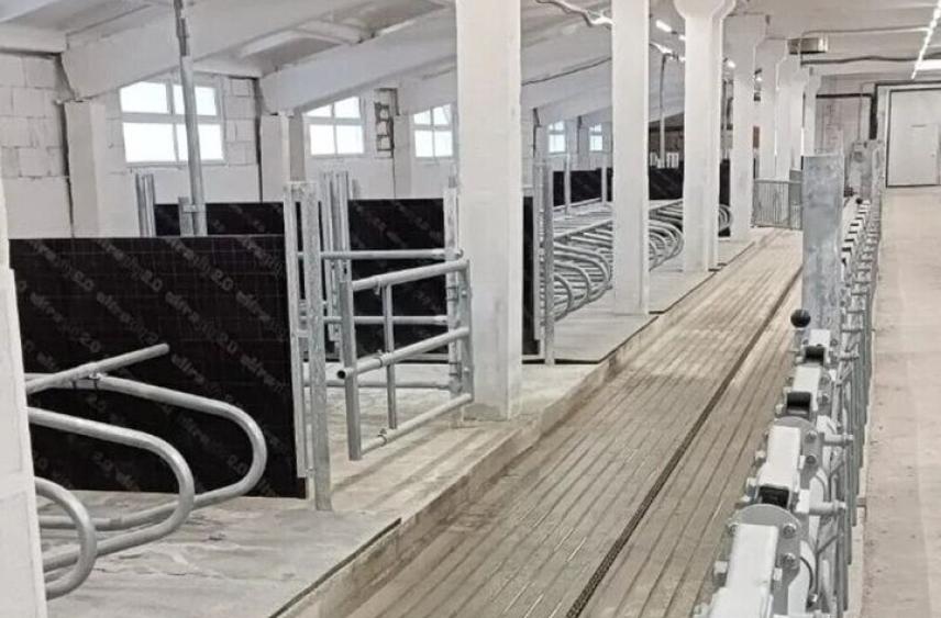 В Дзержинском округе готовятся к приезду молодняка