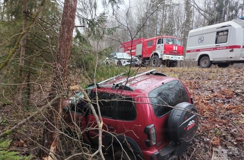 На трассе под Козельском пострадала женщина