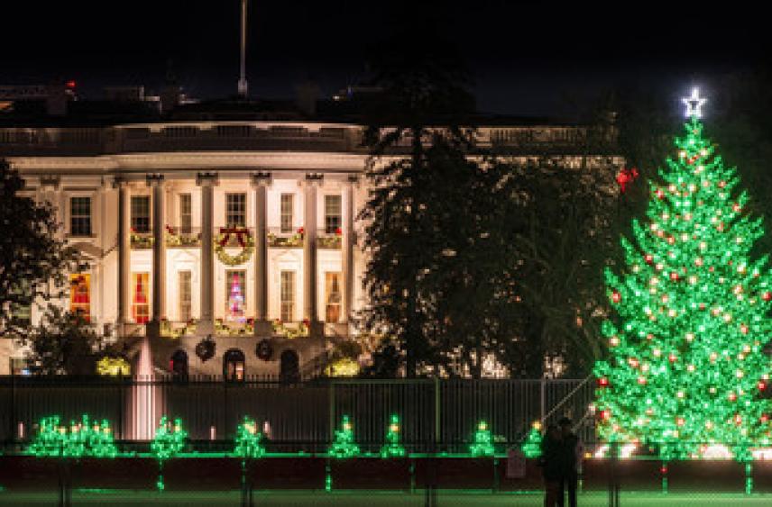 В США проведут церемонию зажжения главной ёлки, несмотря на теракт у Белого дома