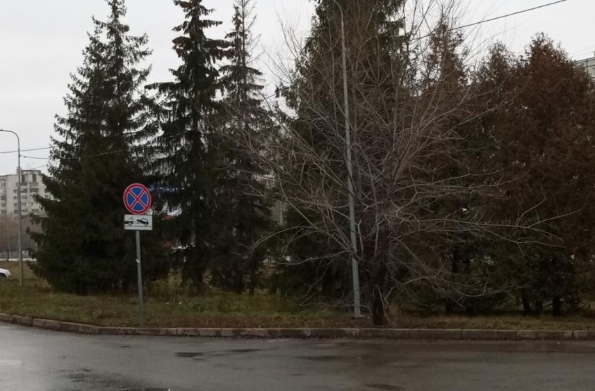 Сегодня в Татарстане осадков не ожидается