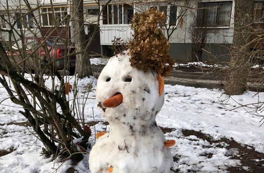 Пскович призвал лепить снеговиков